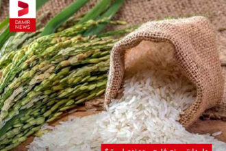 واردات برنج خارجی ممنوع است؟