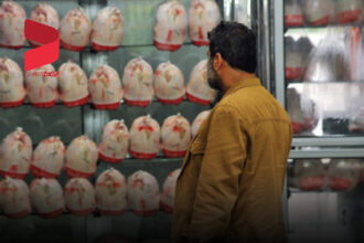 کاهش موقتی قیمت مرغ!